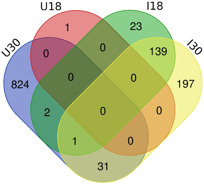 Figure 5