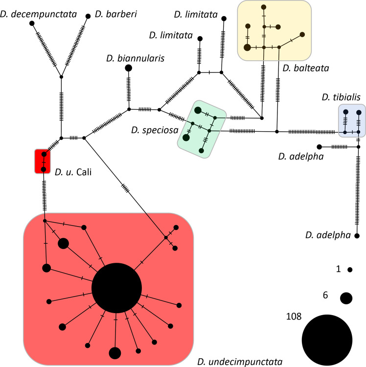 Figure 2