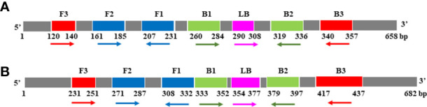 Figure 2