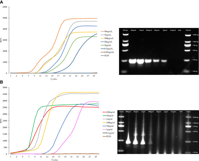 Figure 5