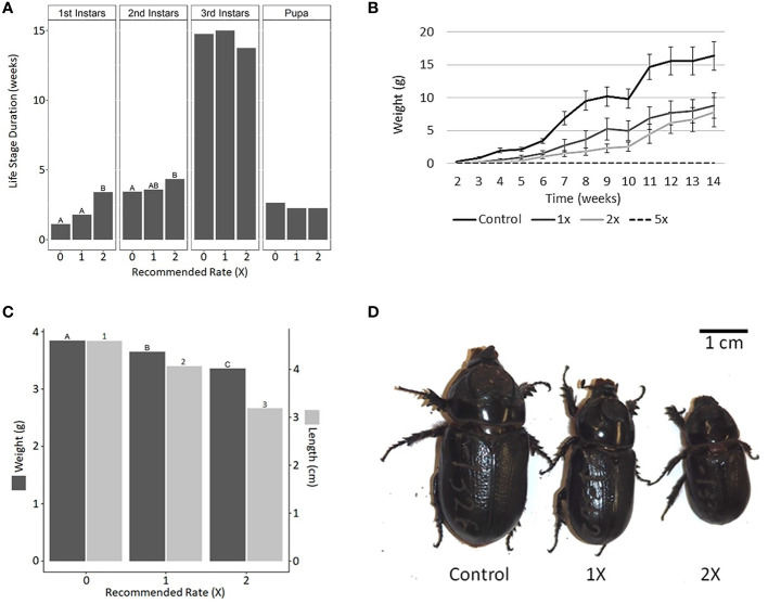 Figure 4