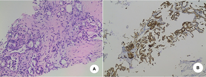 Figure 2