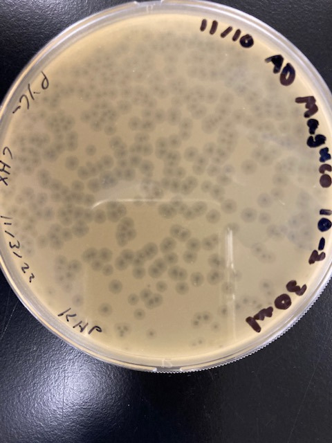 Fig 1