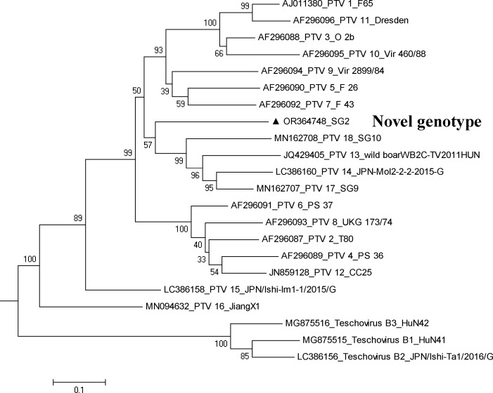 Fig 1