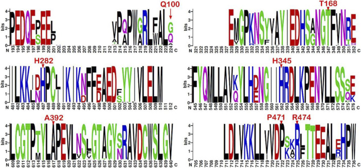 FIGURE 3