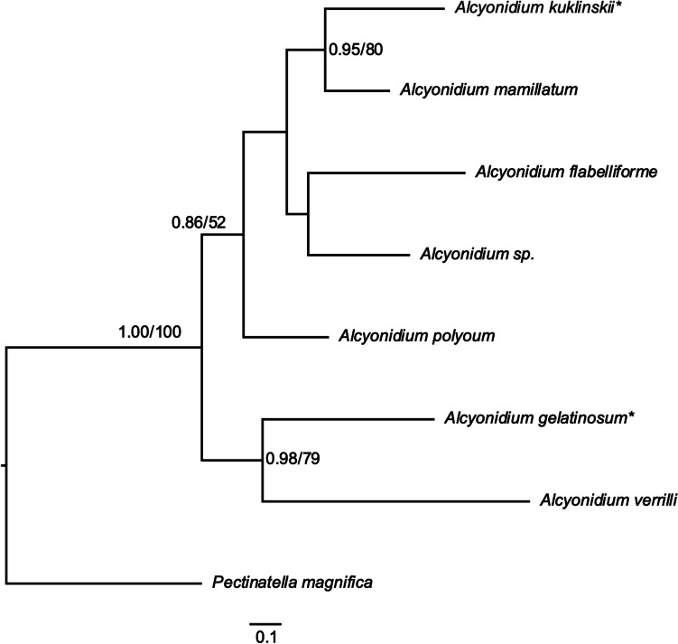 Figure 5