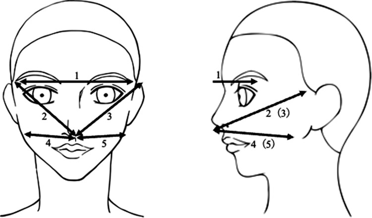 Figure 1