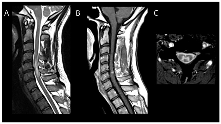 Figure 7