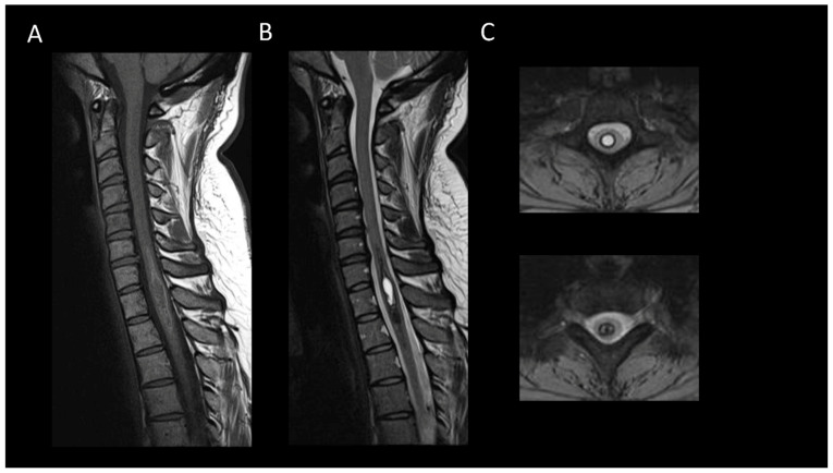 Figure 12