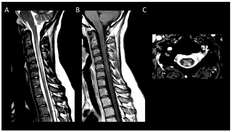 Figure 15