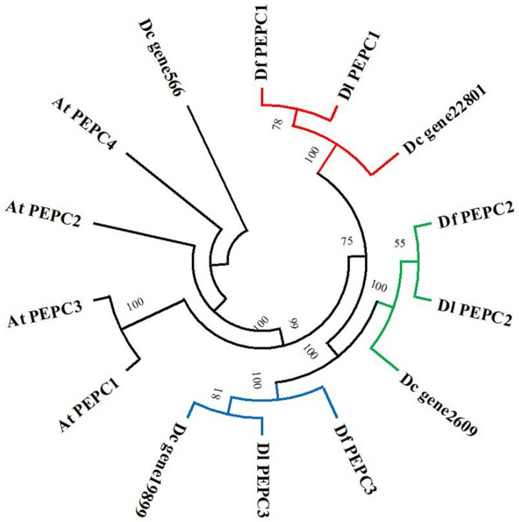 Figure 9