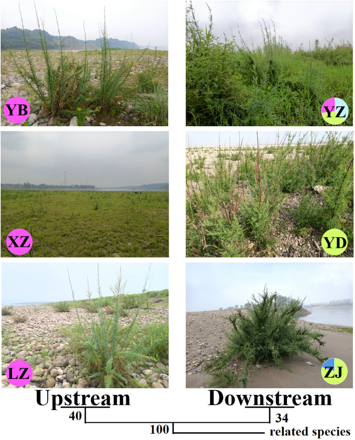Figure 2