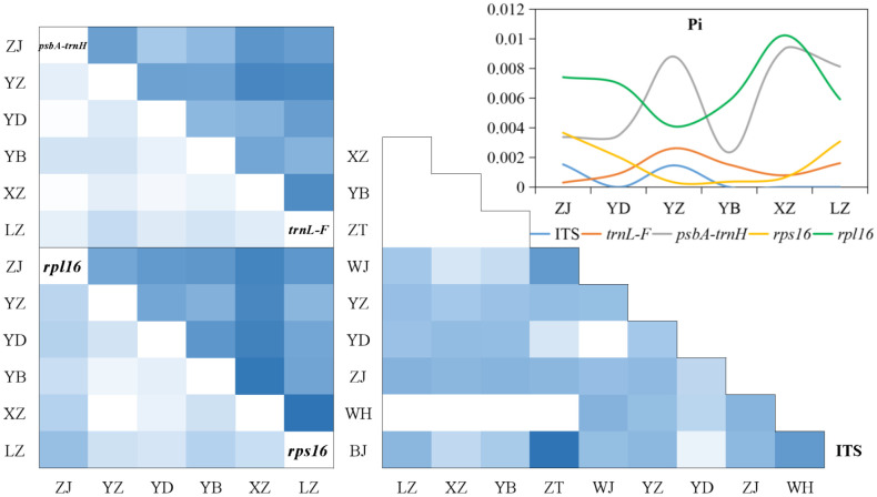 Figure 5