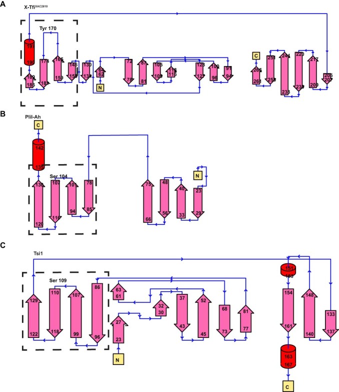 Figure 9
