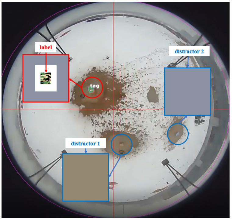 Figure 11