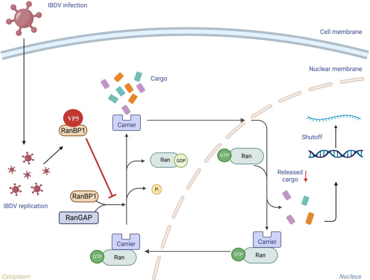Figure 10