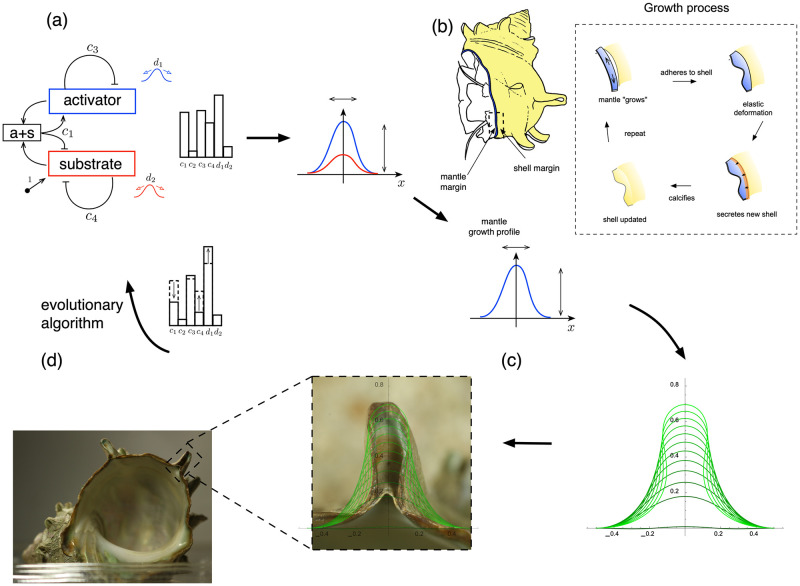 Figure 22