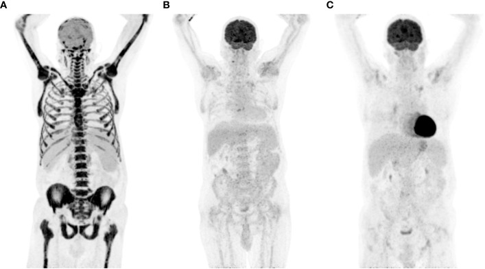 Figure 3