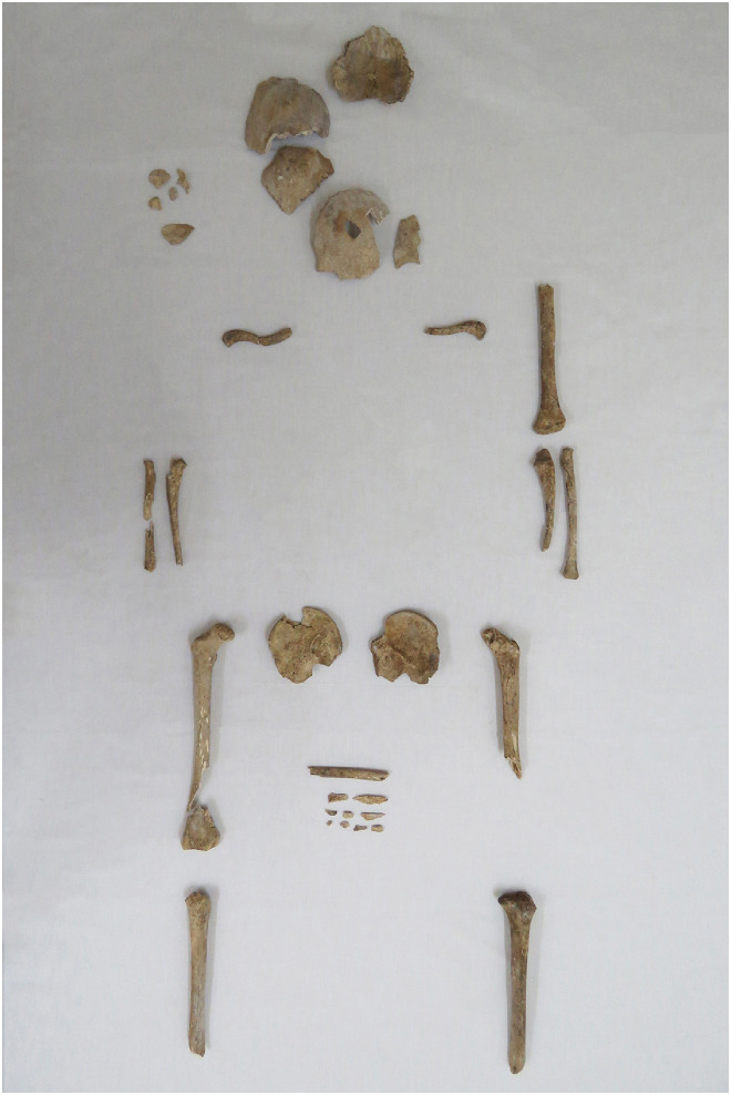 Figure 1