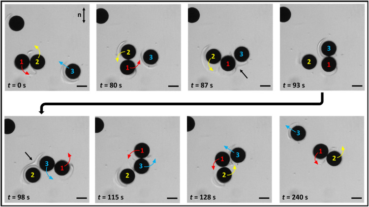 Fig. 7