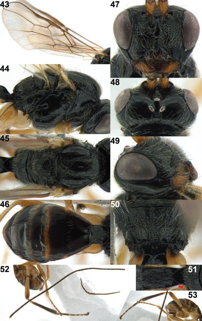 Figure 9