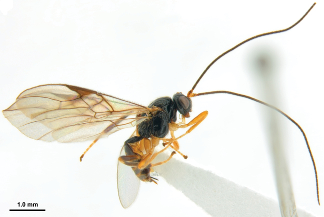 Figure 10