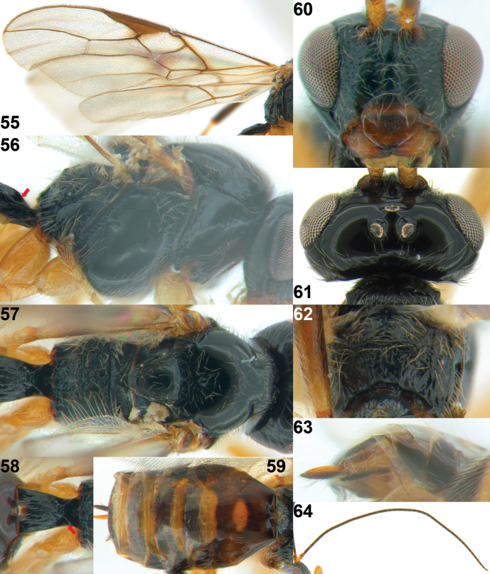 Figure 11