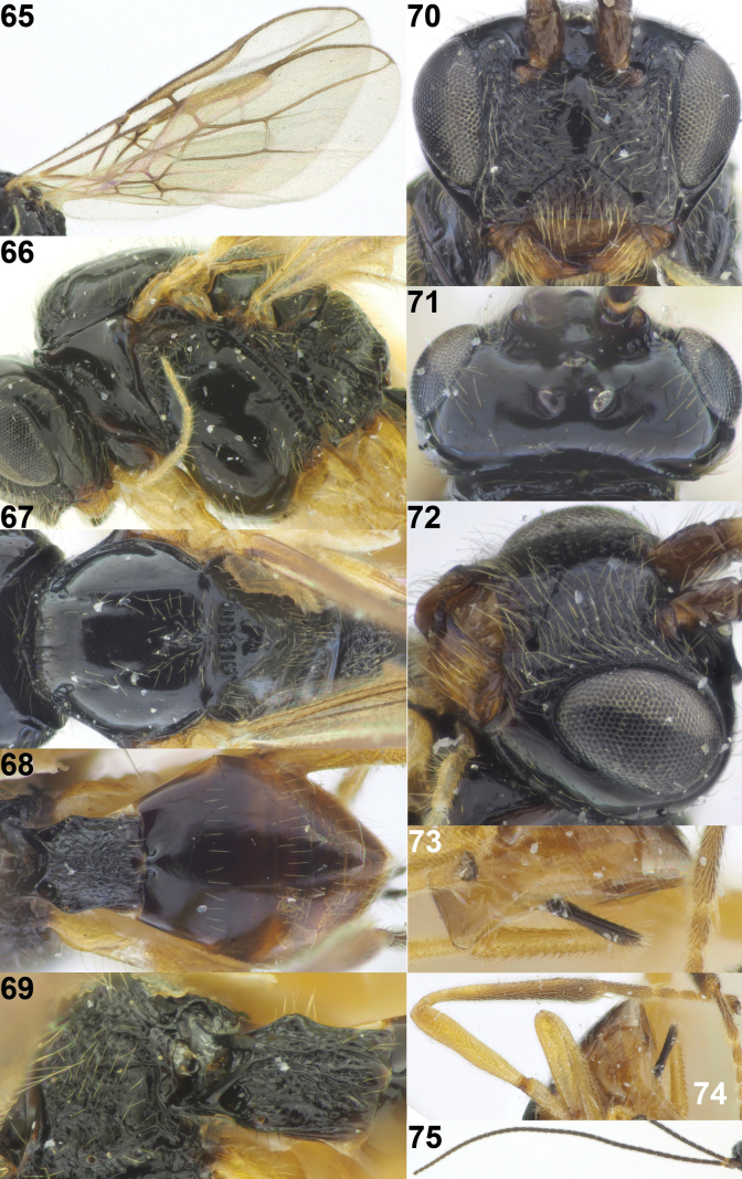 Figure 12