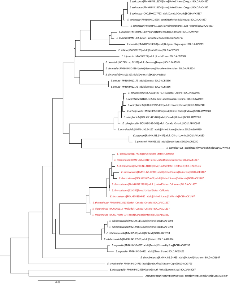 Figure 12