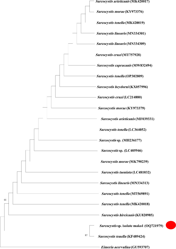Figure 5