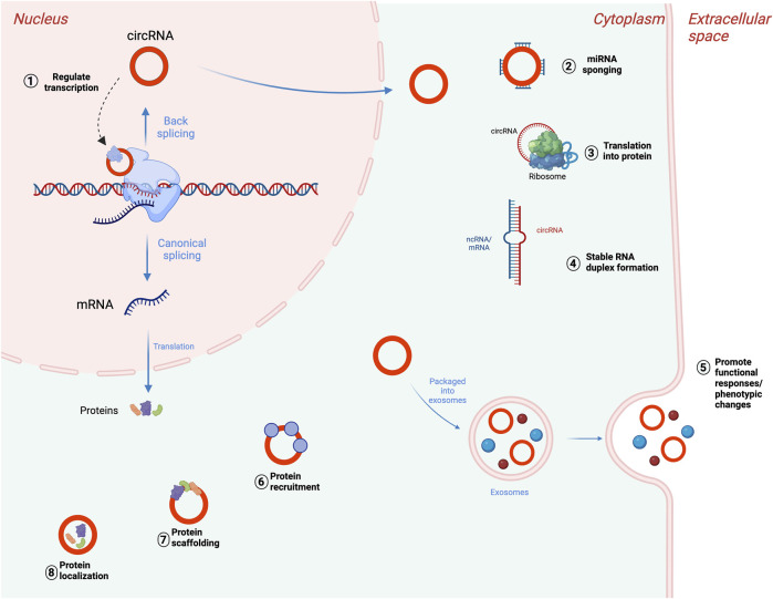 FIGURE 2