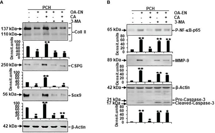 Figure 5