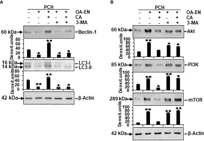 Figure 6