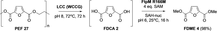 Scheme 3