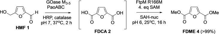 Scheme 2