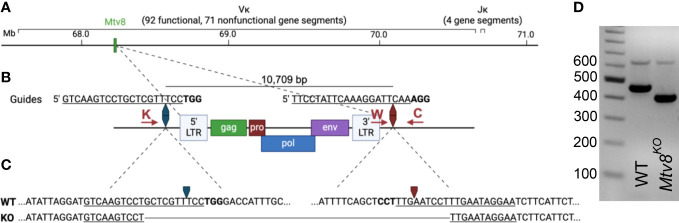 Figure 1