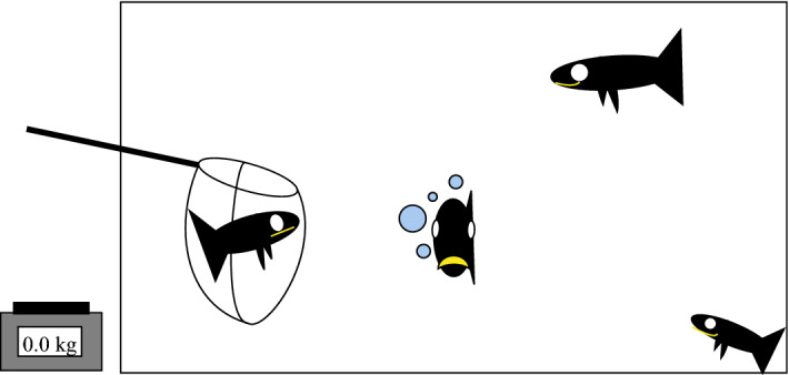 Figure 8