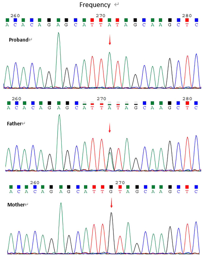 Figure 1