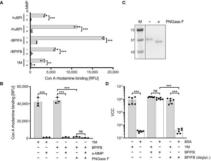 Figure 6
