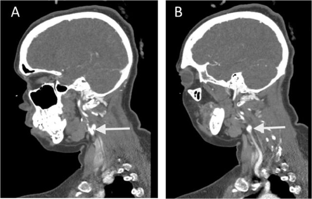 Figure 1