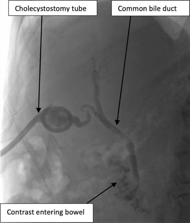 Figure 3