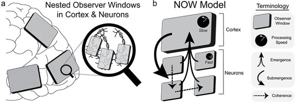 Figure 2