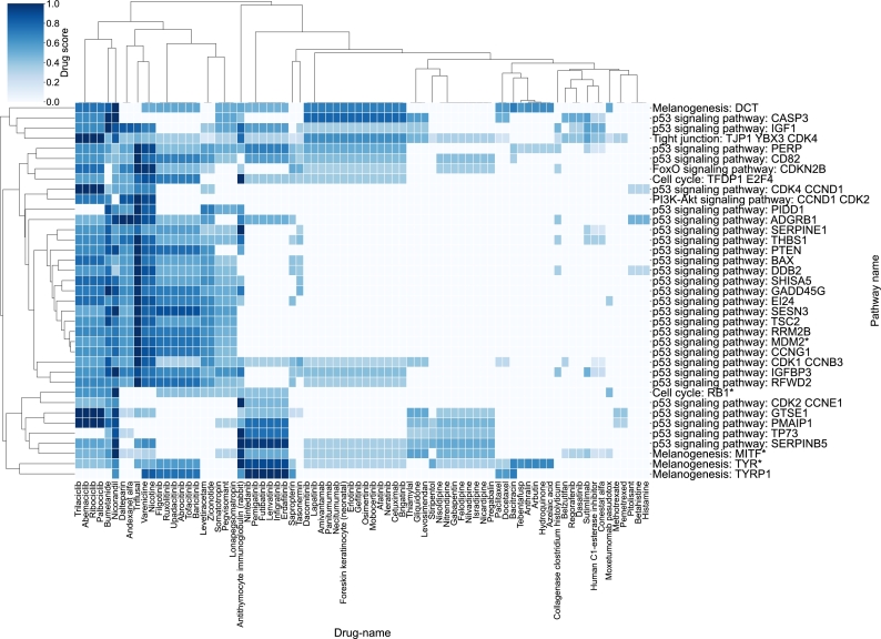 Figure 15