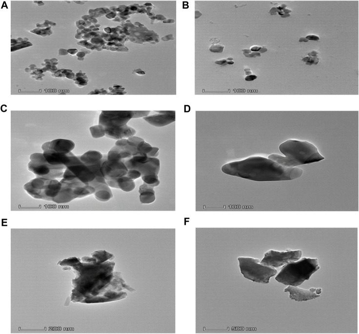 FIGURE 4
