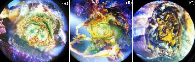 Figure 10