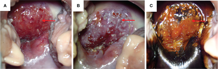 Figure 1