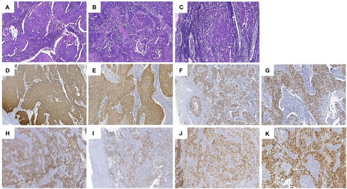 Figure 5