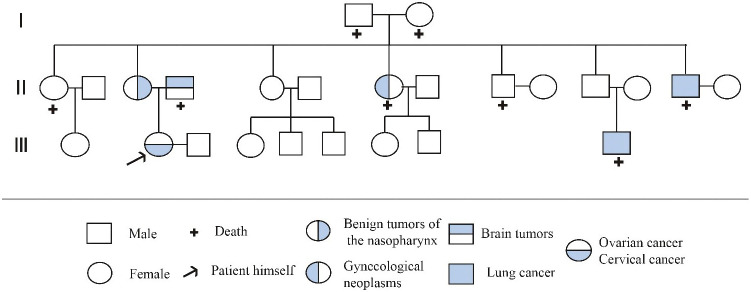 Figure 7