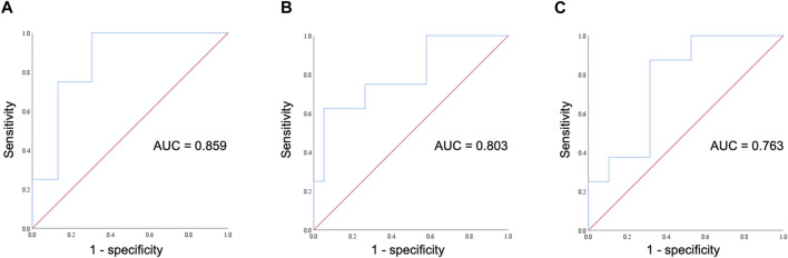 FIGURE 3