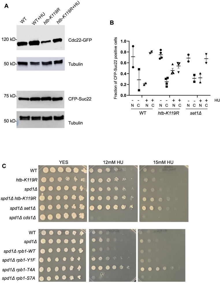 Figure 16